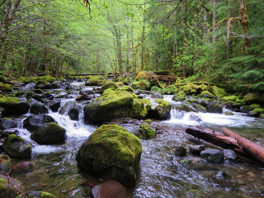 French Pete Creek