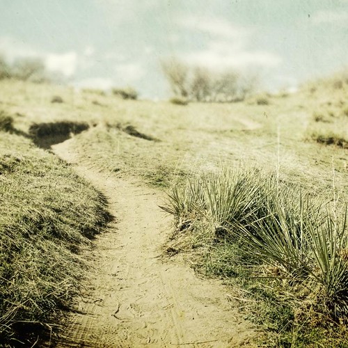 grass canon square sand path footprints trail overexposed fade depth yucca textured t1i applesandsisters