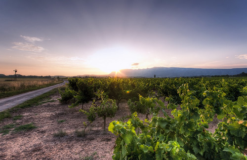 sunset france vineyard clear provence vigne windturbine coucherdesoleil eolienne saintevictoire pourrières cilou101