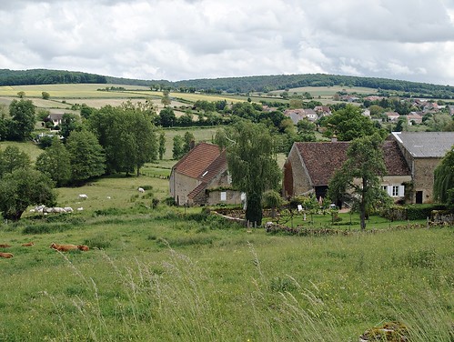 france landscape village cattle burgundy 2013 teigny