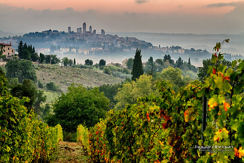 wine vine vines city town hilltop hill top san gimignano landscape dawn sunrise hdr vineyard italy italia italian
