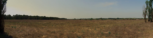 panorama field ukraine nothing emptiness панорама украина kherson поле херсон пустота ничего раденск смотретьнестоит берегитеглаза гуляйтебольше lookingisnotneeded saveeyes goforawalkanymore