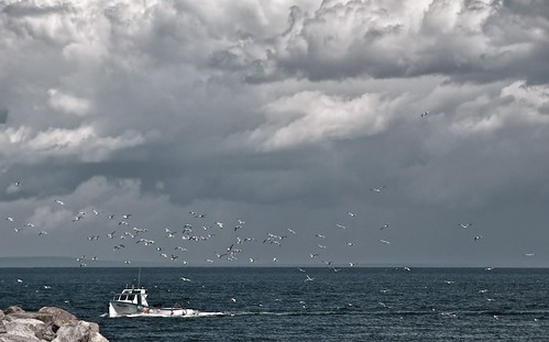 storm water clouds boat fishing day gulls stormy fishingboat bayofchaleur baiesdeschaleur