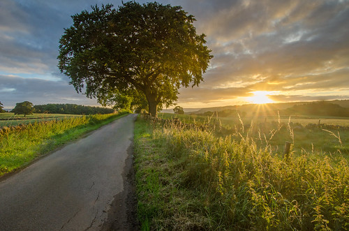 summer sunrise derbyshire peakdistrict walkinginderbyshire