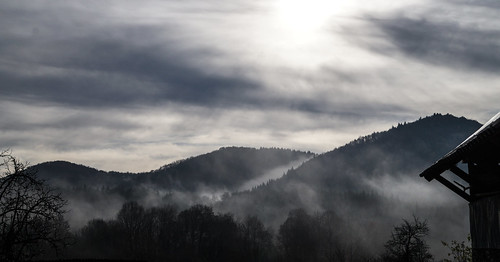 fog mist hills mountains romania nature sunrise forest peaks sun cold black trees woods clouds curteadearges