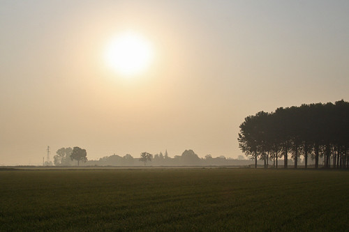 trees sky sun alberi sunrise countryside italia alba campagna cielo sole pavia sartiranalomellina