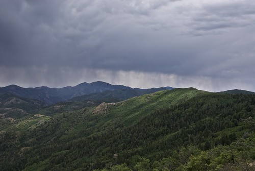 blue trees light wild summer plants storm mountains newmexico green rain weather clouds forest walking outdoors solitude solidarity afternoonlight blackrange