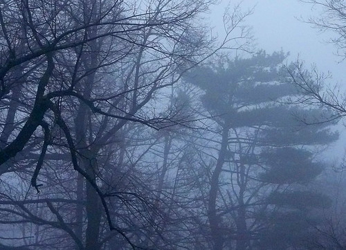 fog sunrise easter massachusetts newengland worcester