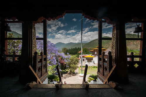 broadcast view bhutan buddhist entrance monks valley dzong jacaranda fortress lookingout punakha punakhadzong pungtangdechenphotrangdzong