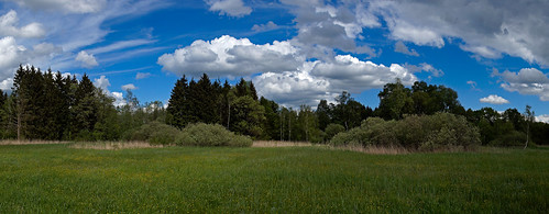blue trees panorama green field yellow clouds spring wiese gelb marsh grün blau bushes bäume yellowflowers frühling birchtrees woken panoramicview ried birken büsche gelbeblumen