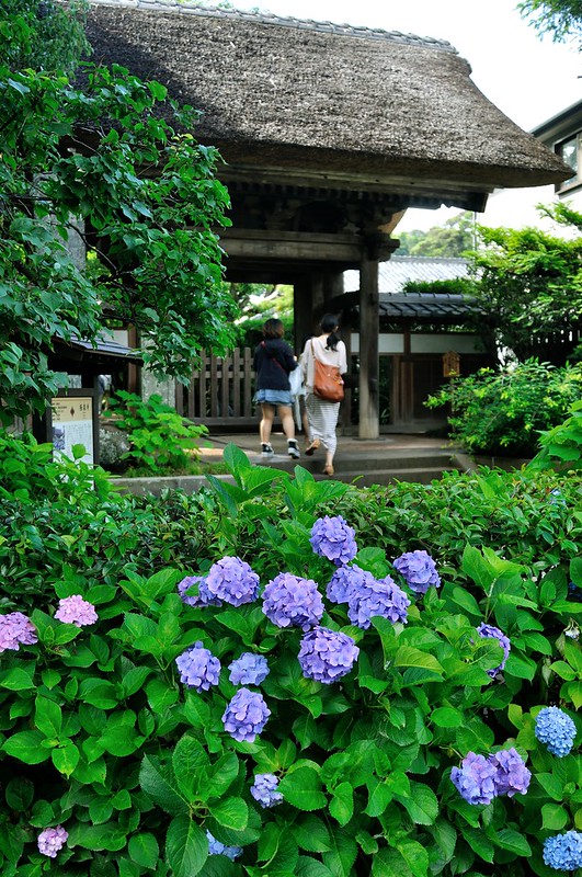 極楽寺　鎌倉