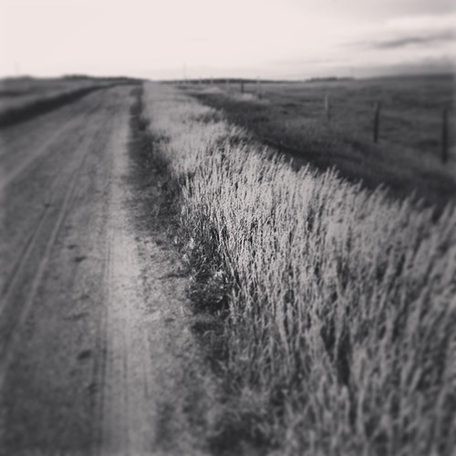 road blackandwhite southdakota country nativeamerican sioux lakota