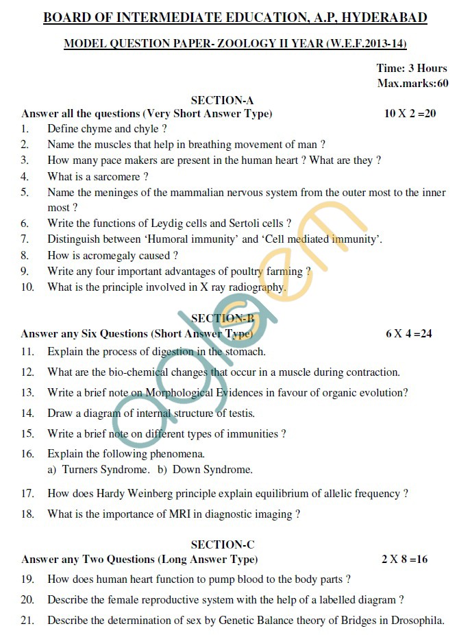 CBSE Class 10 FOUNDATION OF INFORMATION TECHNOLOGY Question Papers