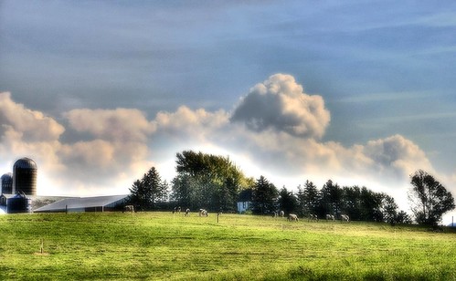 weather wisconsin clouds landscape day cows farm rustic dairy hdr bucolic partlycloudy rubicon nikond90