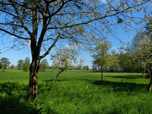 germany landscape deutschland spring lente duitsland landschap pröbstingsee panasonicdmcfz150 1140876