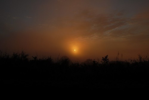 sky mist nature silhouette fog sunrise dawn countryside scenery australia nsw goodmorning northernrivers morninglandscape
