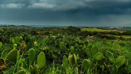 storm verde green rain méxico clouds rural landscape lluvia country paisaje nubes tormenta colima nopal quesería