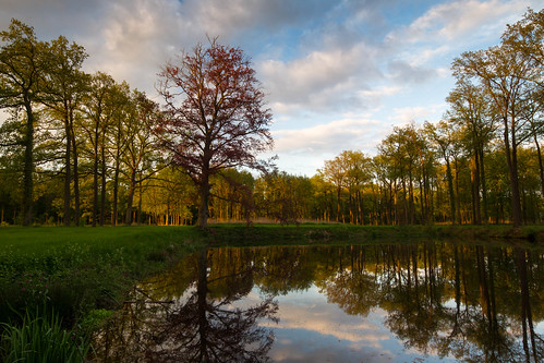 trees reflection water clouds landscape pond slangenburg