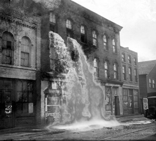 Illegal alcohol being poured out during Prohibition, Detroid 1929