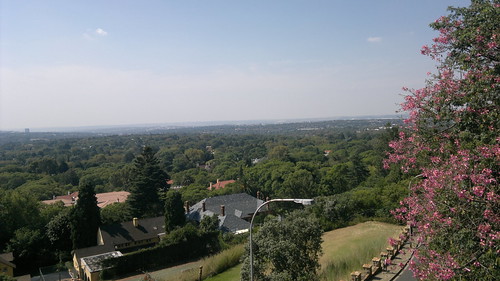 southafrica johannesburg urbanforest forest trees viewpoint view greenery blinkagain gauteng africa south