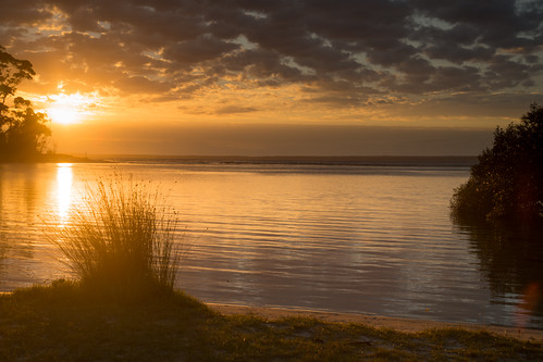 sunrise landscape husky earlymorning saturday australia nsw newsouthwales huskisson