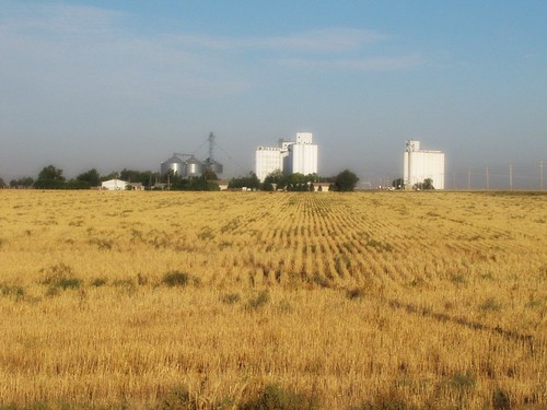 sky wheat kansas agriculture elevators smalltown orton grainelevators highplains hickock