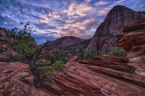 morning red cliff sunrise sandstone rocks day cloudy canyon zionnationalpark zioncanyon canyonoverlook novajosandstones
