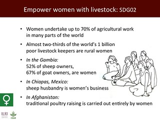 Empower women with livestock