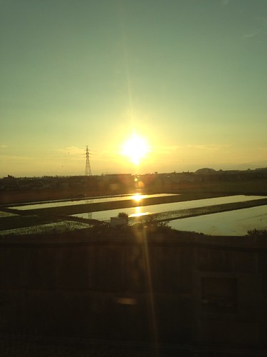 sunset ricefield