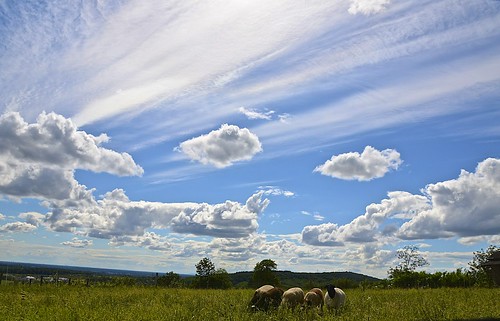 sky nature weather clouds germany weide day sheep cloudy meadow himmel wolken wetter schafe rotenberg badenwürttemberg