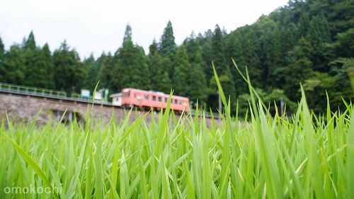 trip travel station japan train trains railways