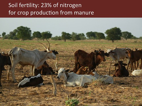 Slide 9: Soil fertility and manure