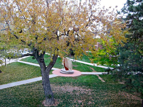 wayne nebraska colleges waynestatecollege trees campus