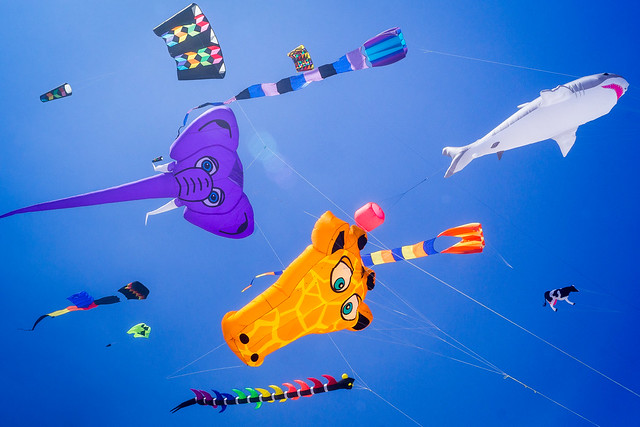 Kites, Blue, Sky, Elephant, Giraffe, Shark, Cow, Kite Festival