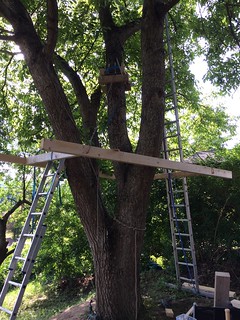 First steps towards a tree house
