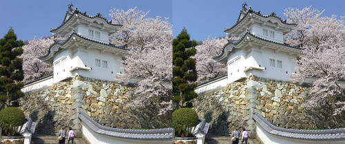 Tatsuno castle, stereo parallel view