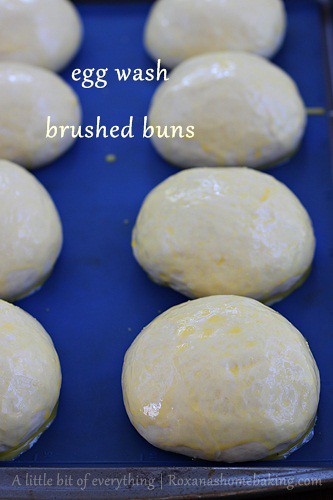 egg wash brushed buns