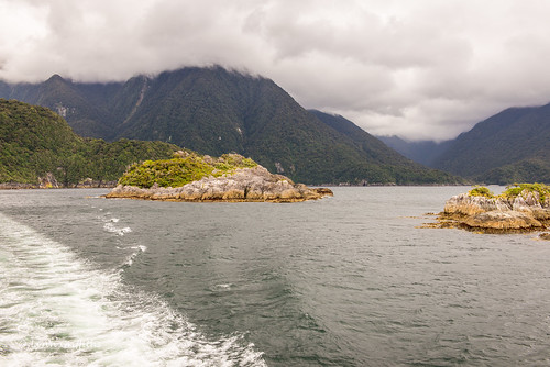 newzealand mountain water landscape coast cloudy sound southland lowcloud landscapephotography outdoorphotography