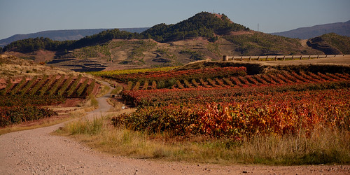 Azofra, La Rioja, España