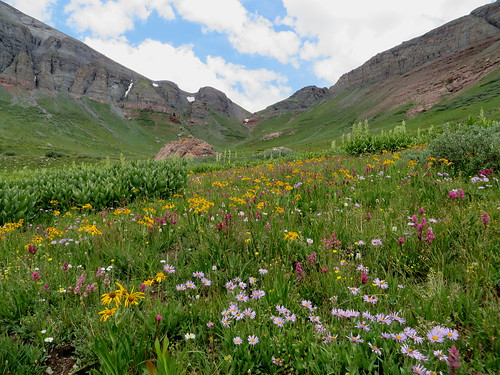 mountains landscape colorado hiking wildflowers littlemolaslake