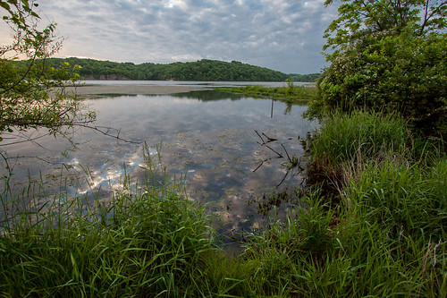 morning lake reflection grass clouds sunrise dawn spring mo hills missouri shore algae leessummit jacomo lakejacomo