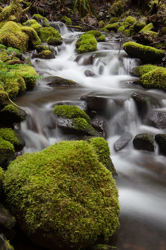 usa white green fall water vertical washington moss slow smooth portangeles falls rapids shutter rapid