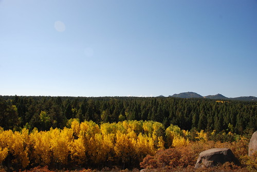 autumn trees red sky orange mountains tree green fall nature leaves yellow forest rockies golden leaf colorado colorful view ground aspen coloradorockies