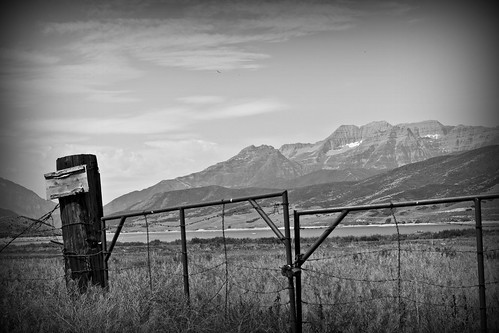 summer blackandwhite bw usa mountain monochrome field fence landscape utah ut charleston hebervalley wasatchmountains mounttimpanogos wasatchcounty 2013
