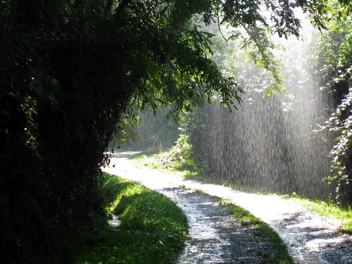 frankreich wasser camino jakobsweg lepuyenvelay regen wetter 2010 stjeanpieddeport lichtspiele pilgern wälder stimmungen chemindestjacques viapodiensis