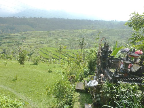 Bali-Route Legian-Jatiluwih (91)