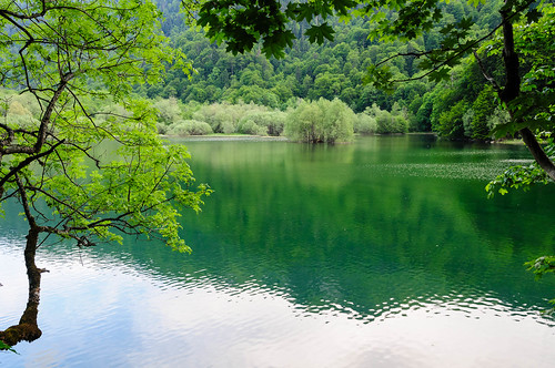 lakes montenegro naturelandscape mojkovac