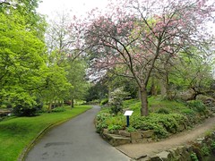Spring Colour, Lister Park