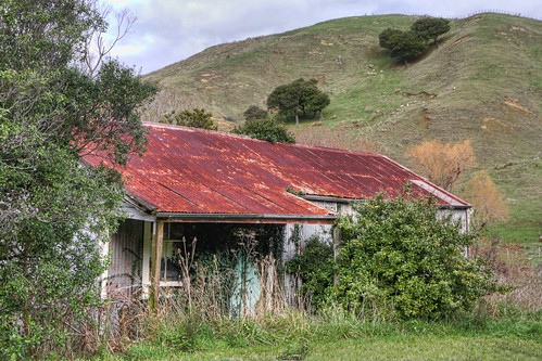 old newzealand house building abandoned home overgrown rural iron decay farm cottage rusty derelict corrugated dilapidated deterioration manawatu whare oldandbeautiful waione oncewashome