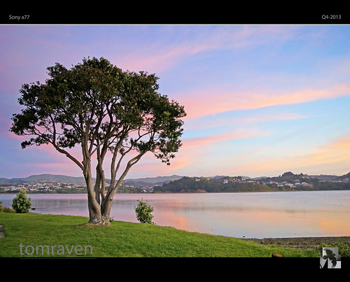 sunset newzealand sky sun tree water clouds twilight sony motukaraka pohutakawa a77 inet tomraven aravenimage q42013